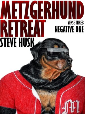 cover image of Negative One